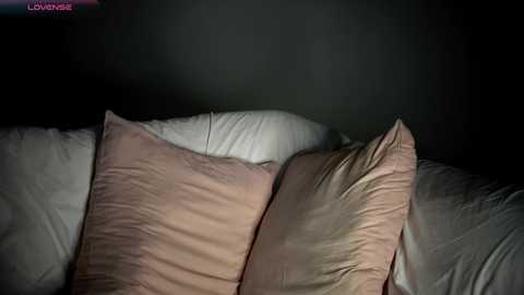 jonathanfranz123 free recording from 2025-12-29 00:10:00