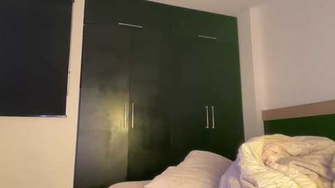 Video of a minimalist bedroom with dark green, vertical wardrobe doors, a closed window with a black blind, and a bed with white and pastel-colored pillows.
