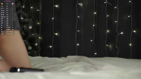 sheenadu free recording from 2025-12-29 00:34:00