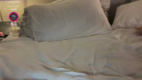 wasianbby free recording from 2025-12-29 00:10:00