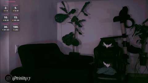 abril__colen free recording from 2025-12-30 00:11:00