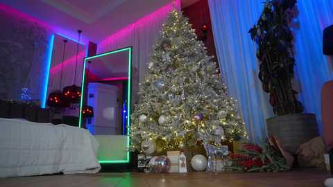 eva_fashionista free recording from 2025-12-31 00:19:00