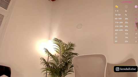 Video of a cozy room with a white wall, a green fern plant, a beige chair, and a lamp casting warm light, with a calendar showing 10/10.