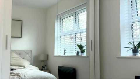 rosebella_ free recording from 2025-12-30 00:16:00