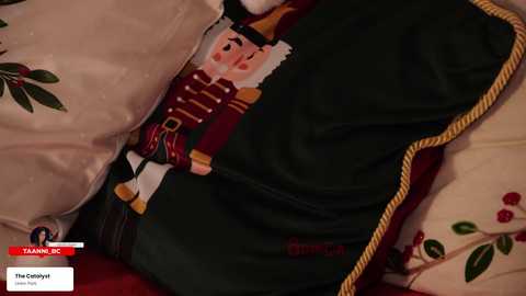 taanni_bc free recording from 2025-12-30 00:16:00