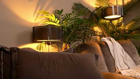 _keti_ free recording from 2025-12-31 00:09:00