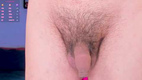 Media: Video of a close-up of a light-skinned person's pubic area, showing natural, dense pubic hair and a flaccid penis. Background features a smartphone displaying colorful app icons and a blurred, dark-colored bed.