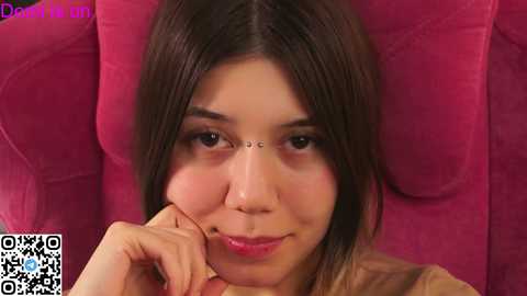 forestproject free recording from 2025-12-31 00:09:00