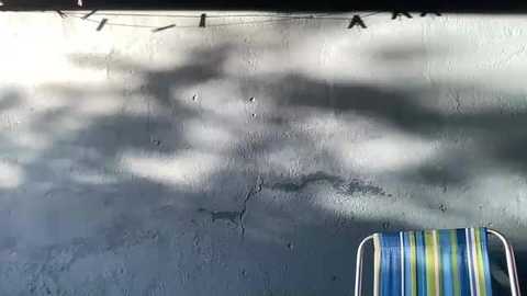 liaforyou free recording from 