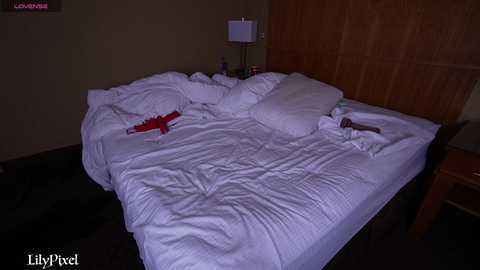 lilypixel free recording from 2025-12-31 00:09:00