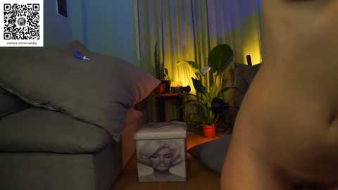 the_pussy_boulevard free recording from 2025-12-31 00:09:00