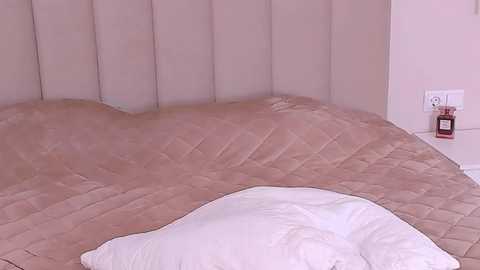 lulu_wolfie free recording from 2026-01-01 02:43:00