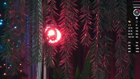 mia_vebes free recording from 2026-01-02 00:22:00