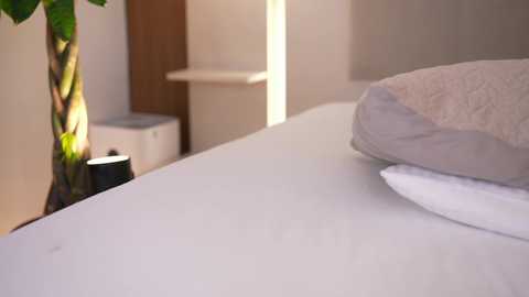 dovia free recording from 2026-01-02 00:07:00