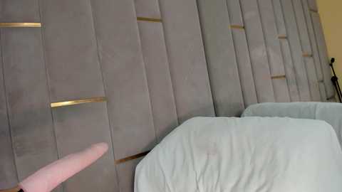 evalims free recording from 2026-01-02 00:07:00