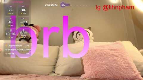 A video of a cozy bedroom with a white bed, fluffy pink pillow, and a stuffed cat on a wall. The text \"tg @libnpham\" overlays the image.