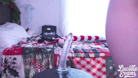 lucille_evans free recording from 2026-01-02 00:05:00