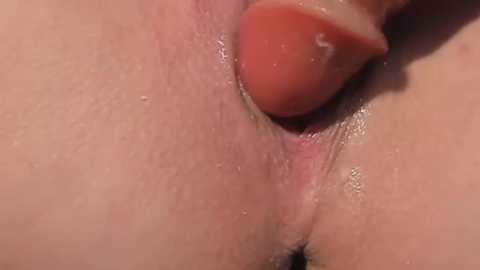 pumpkin_xo free recording from 2026-01-02 00:07:00