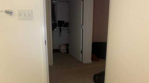 stellapearl free recording from 2026-01-02 00:05:00