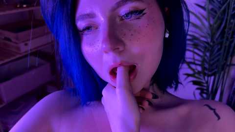 vixenp free recording from 2026-01-02 00:07:00