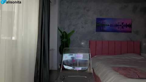 alisonita free recording from 2026-01-04 00:20:00