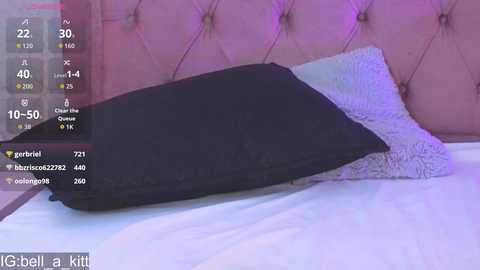 bella_kitty_ free recording from 2026-01-05 00:17:00