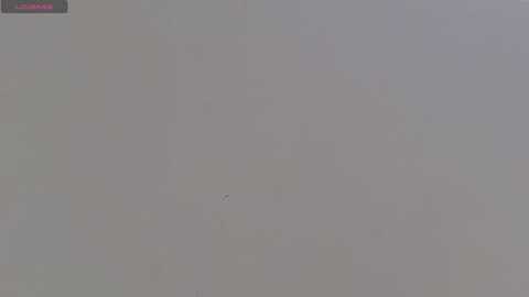 A blurry video of a large, empty, light-colored room with a small, dark object near the center, possibly a chair or piece of furniture. The background is indistinct, with muted colors suggesting a plain, unadorned space.