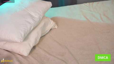 bellacle free recording from 2026-01-05 00:17:00