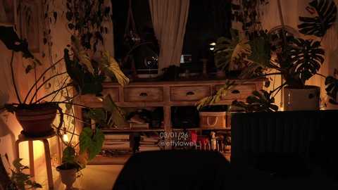 effylowell_ free recording from 2026-01-05 00:08:00