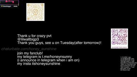 honey_sunshine free recording from 2026-01-05 00:17:00