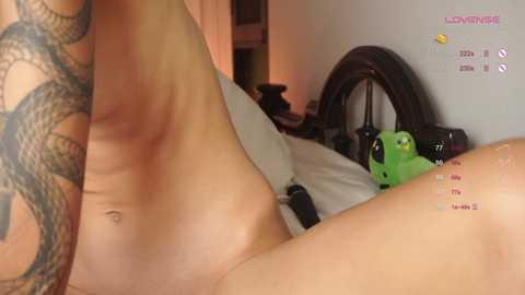 sapphirealice free recording from 2026-01-05 00:08:00