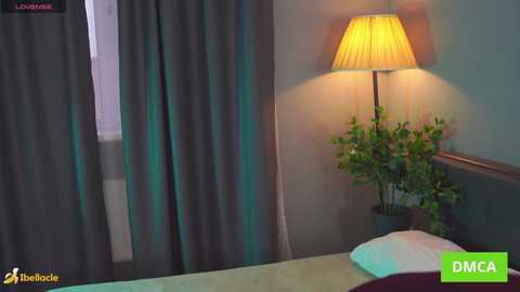 bellacle free recording from 2026-01-07 00:26:00