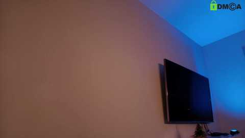 hollyextra free recording from 2026-01-06 00:10:00