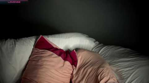 Video of a cozy bed with a beige and red quilt, a white pillow, and a dark, dimly lit room. The bedding is neatly arranged, creating a warm, inviting atmosphere.