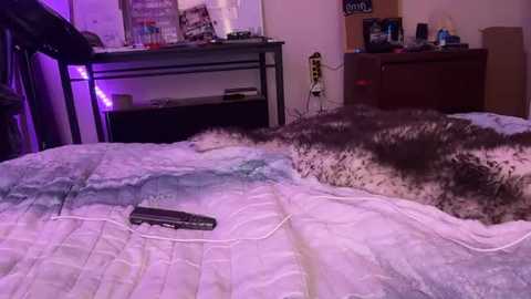 Video of a messy bedroom with a white bedspread and a black handgun on it, surrounded by smoke and debris. A desk and bookshelf cluttered with items in the background.