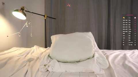 Media: A video of a neatly made bed with a white pillow and duvet, a metallic desk lamp with a green shade on the left, and a digital clock on the grey wall.