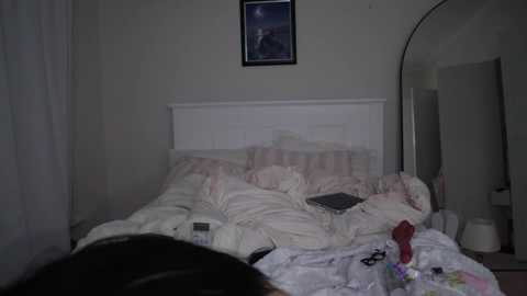 A video of a messy, dimly lit bedroom with a white headboard, a cluttered bed, a framed picture on the wall, and a large mirror.