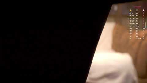 A dimly lit video with a blurred, dark silhouette on the left and a warm, fuzzy image of a bed with white sheets on the right.