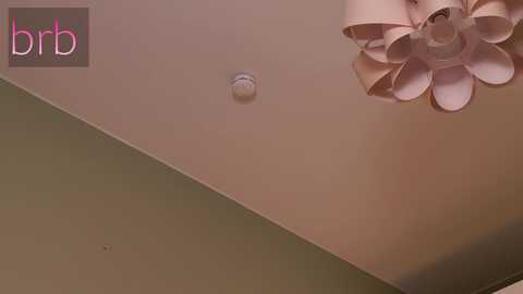 Media: A video of a ceiling with a light pink floral chandelier and a white ceiling light, set against a beige wall. The \"bbr\" logo is in the top left corner.