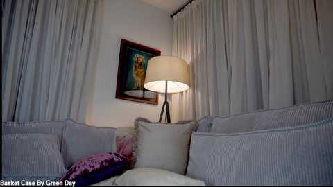 Media: Video of a cozy living room corner with a plush white couch, a framed painting, and a tall floor lamp casting soft light, with white curtains partially drawn.