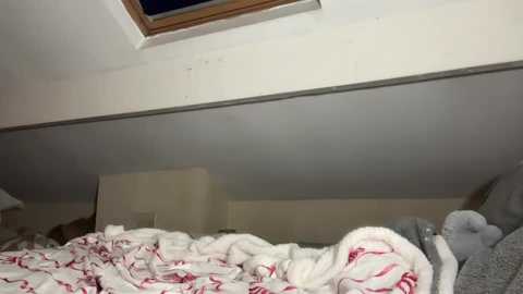 allanarey151 free recording from 2026-01-08 00:13:00