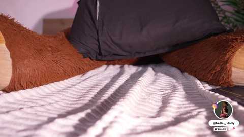 bella__donne free recording from 2026-01-07 00:26:00