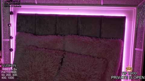 A video of a purple-lit, plush-covered bed with a fluffy, black fur rug, taken during a \"Private Show\" on the JMRAFLE platform, featuring a \"VIP 2% & Patterns\" background and a \"MP 100\" performer.
