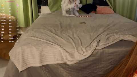 Video of a white fluffy cat sitting on a beige blanket on a bed with green curtains and wooden furniture in the background.
