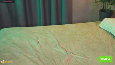 bellacle free recording from 2026-01-08 00:55:00