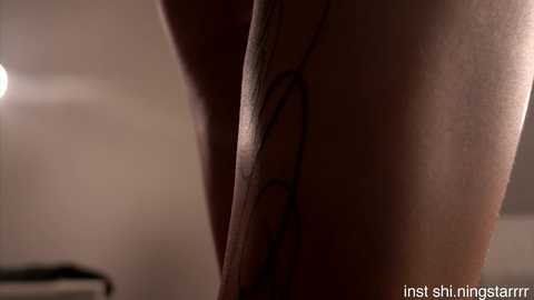 shiningstarrr free recording from 2026-01-08 00:13:00