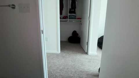 stellapearl free recording from 2026-01-09 00:14:00