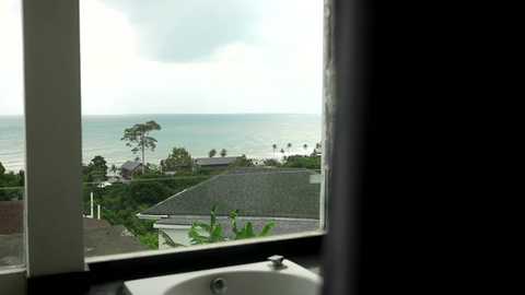 A video shows a serene coastal view from a high vantage point, with lush greenery and a tiled roof in the foreground, and a calm ocean stretching to the horizon under a cloudy sky.