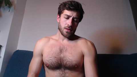 Video of a shirtless, muscular young man with short brown hair and a beard, sitting on a blue couch against a plain white wall. His expression is neutral.