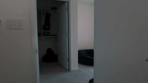 stellapearl free recording from 2026-01-09 00:06:00